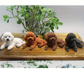 Adorable Teddy Dog Car Dog Resin Craft Ornament Home Desktop Car Decoration Holiday Gift